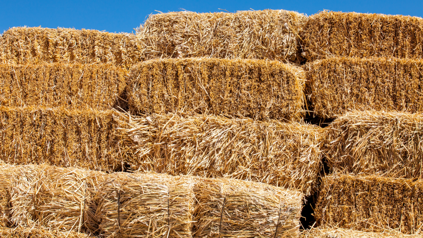 over a dozen bales of hay in stacks of four