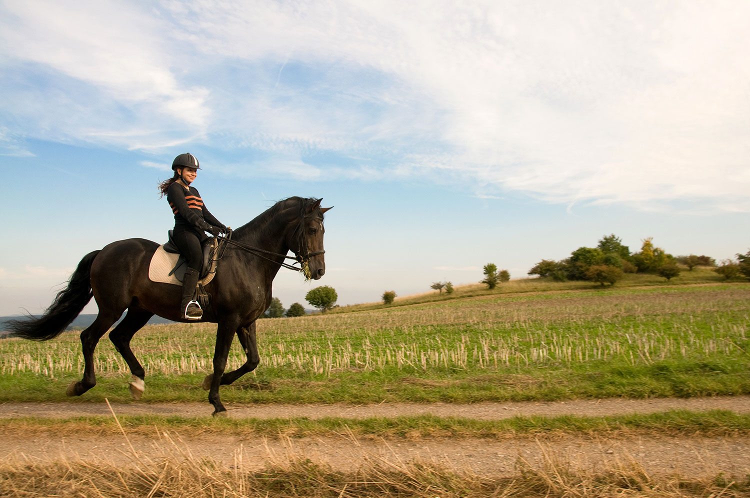 horse riding routine