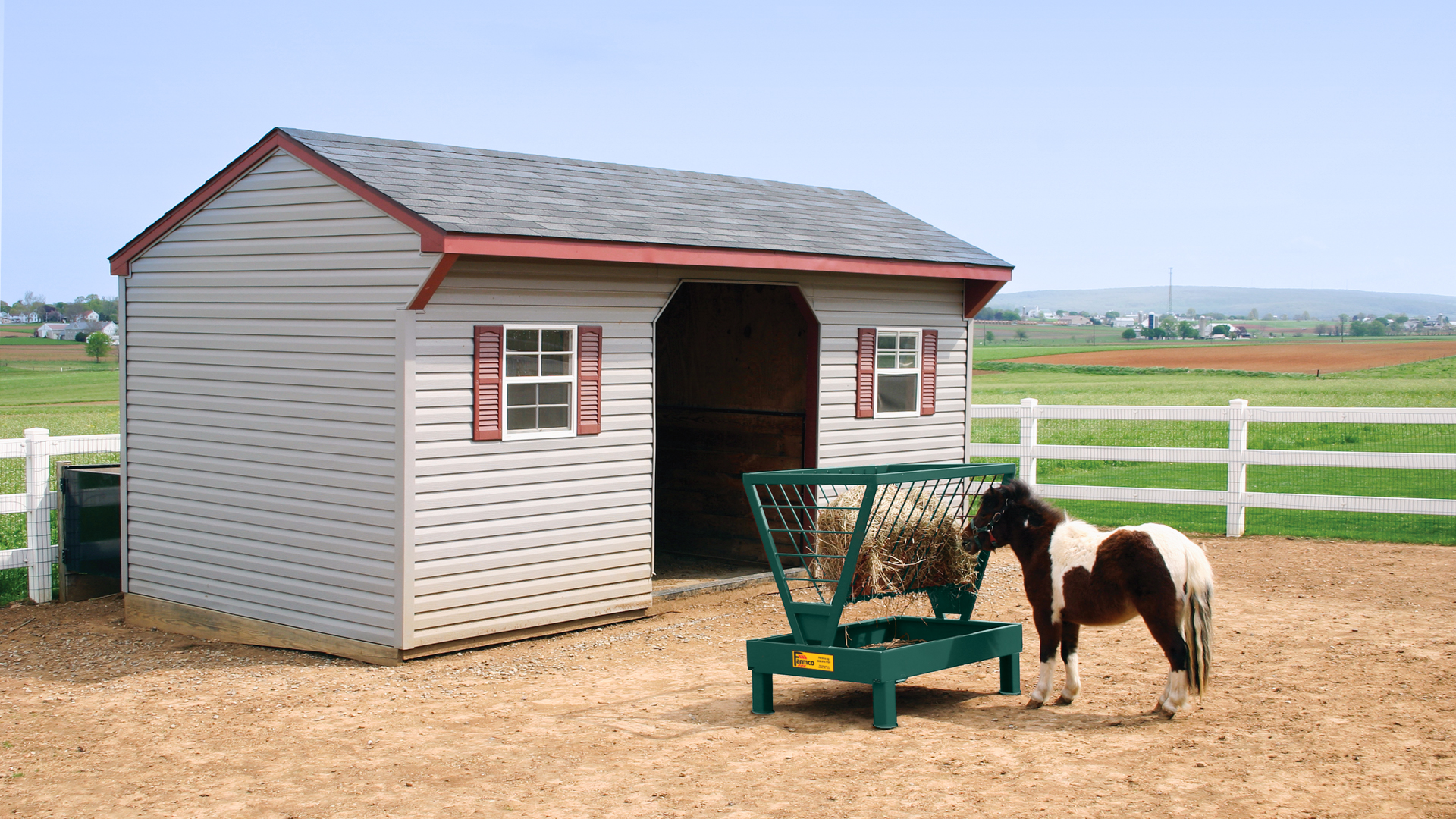 horse eating hay with no symptoms of laminitis in horses