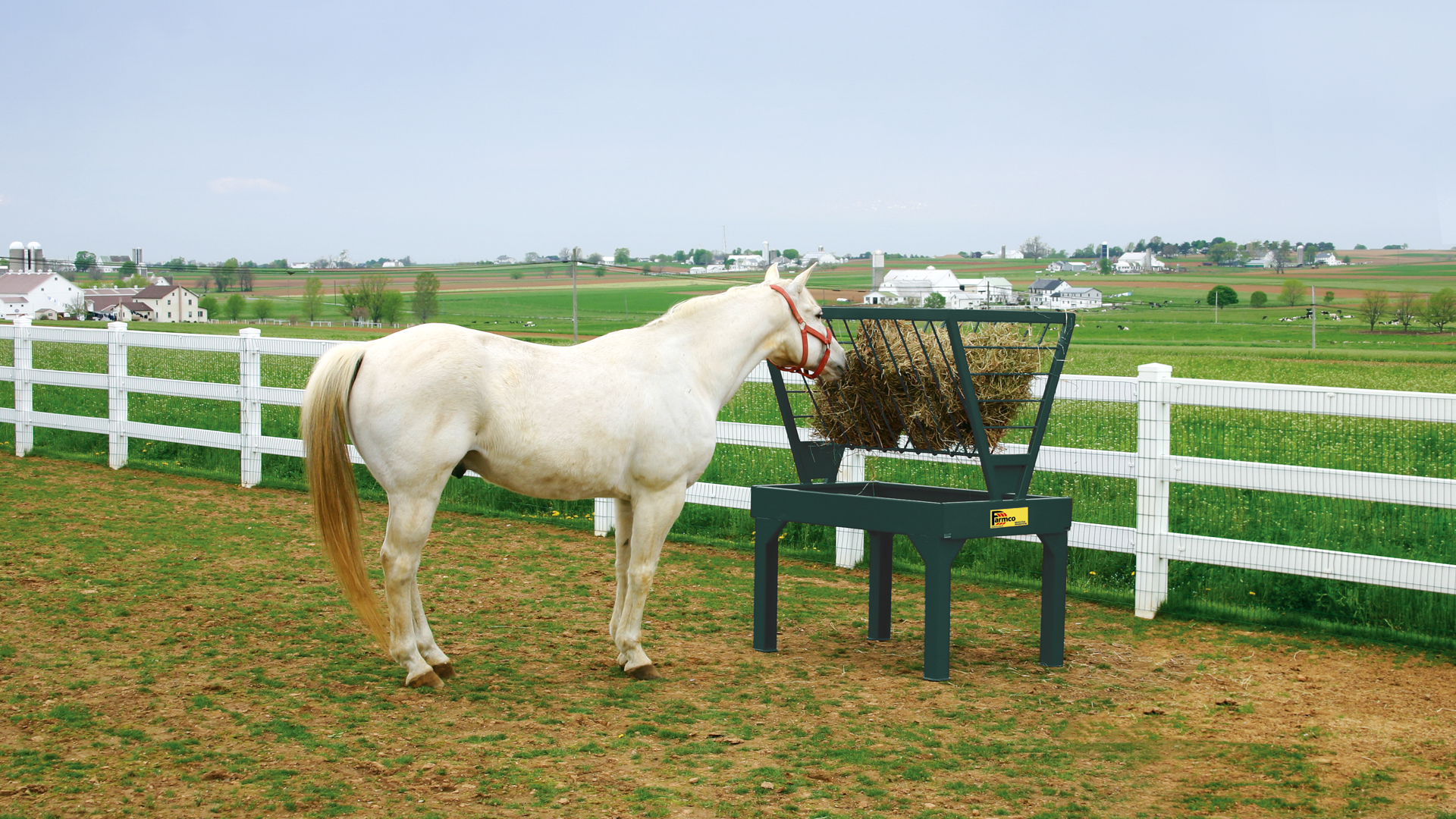 horse eating for preventing sand colic in horses article