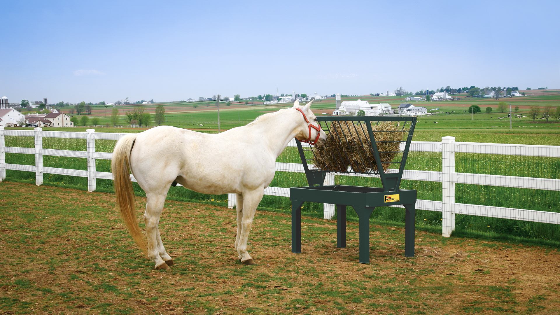 exterior of horse enclosed in fence eating from feeder for horse overeating article