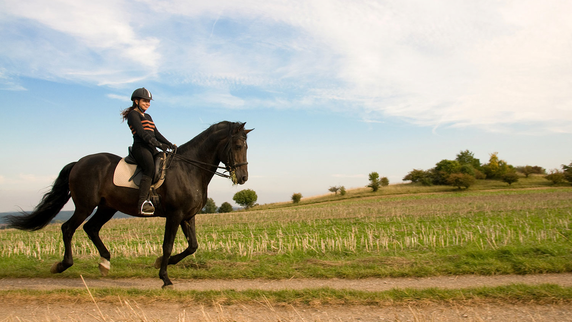 how to feed round bales to horses 