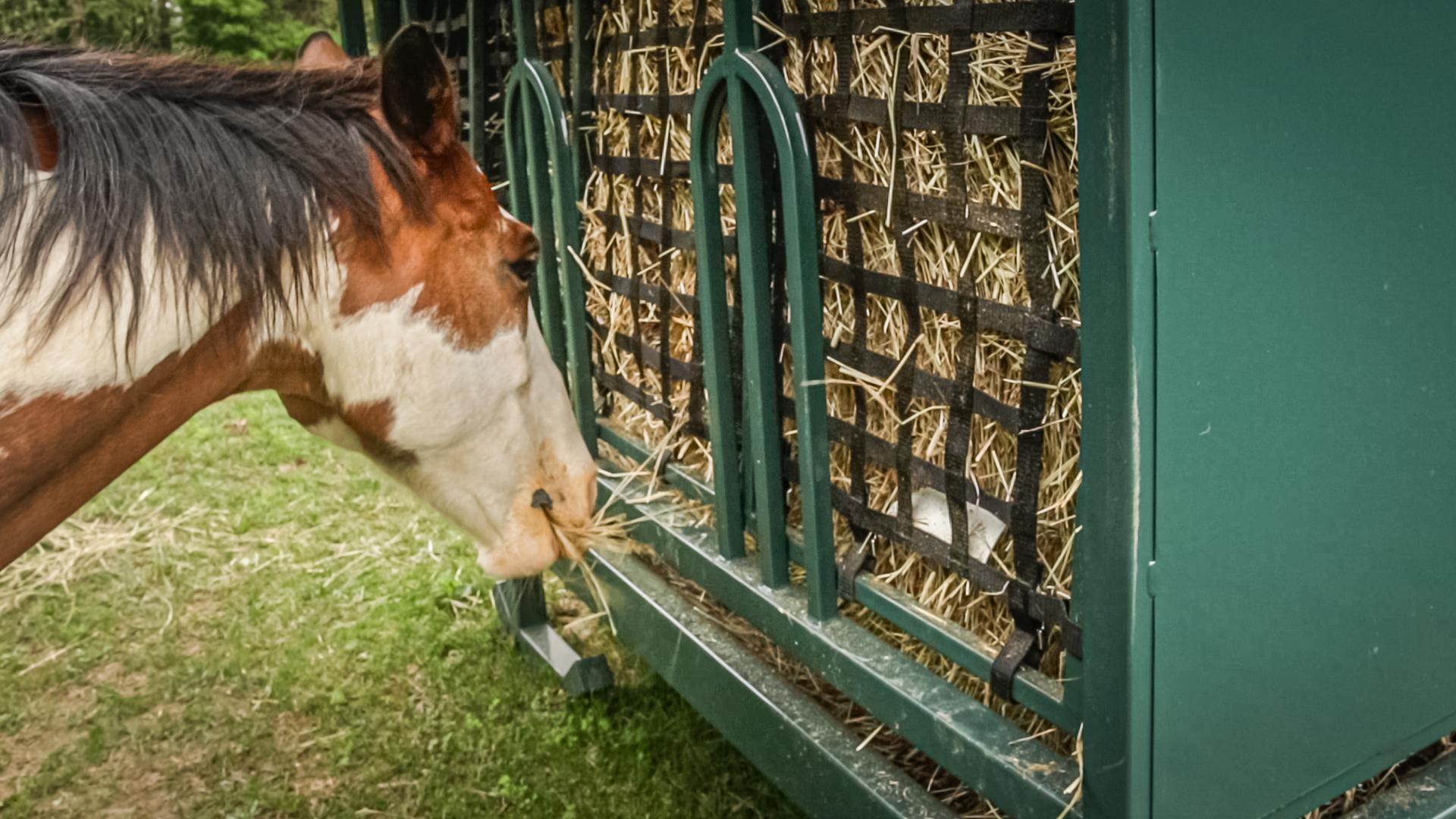 how to feed round bales to horses 48